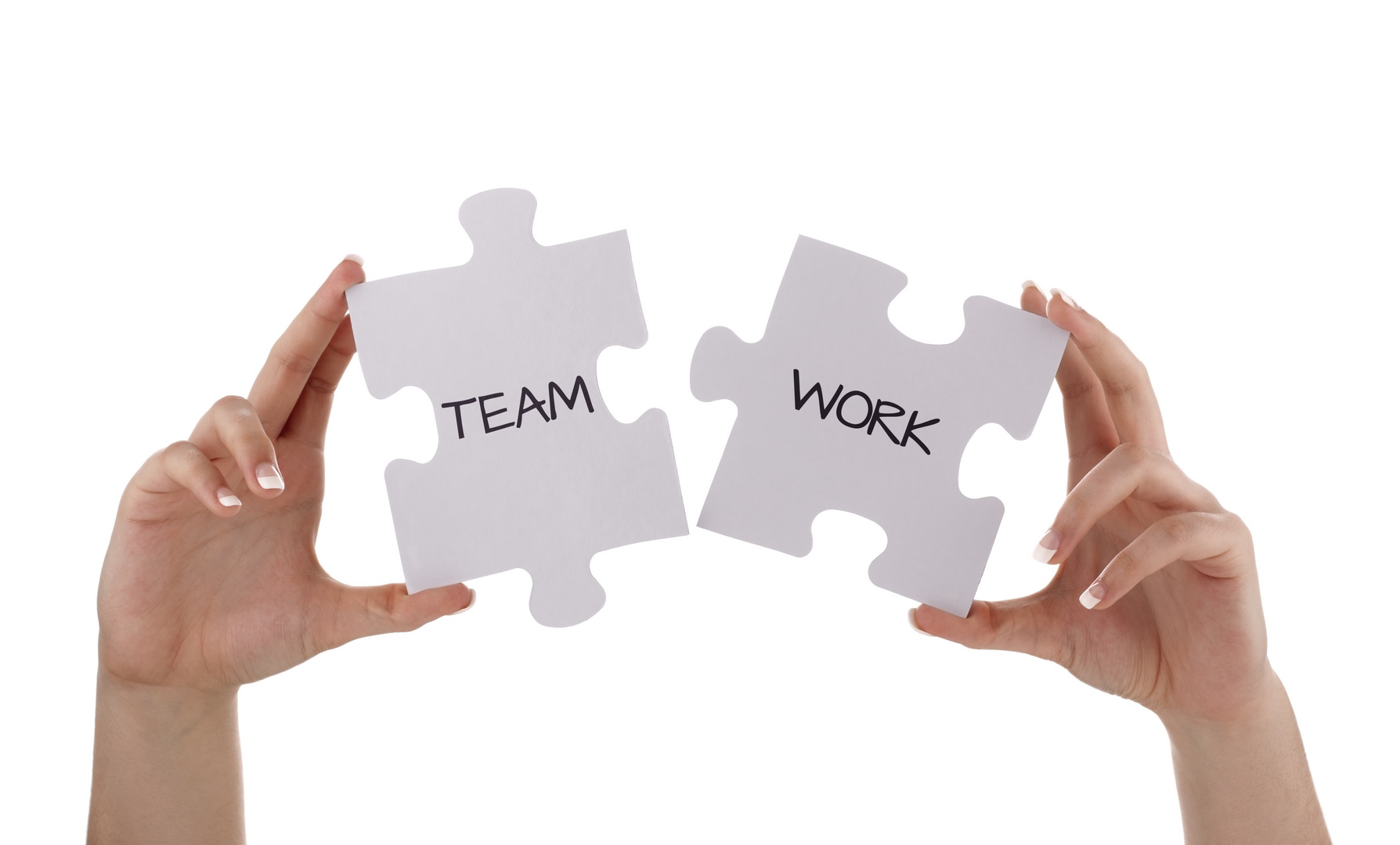 Jigsaw piece teamwork