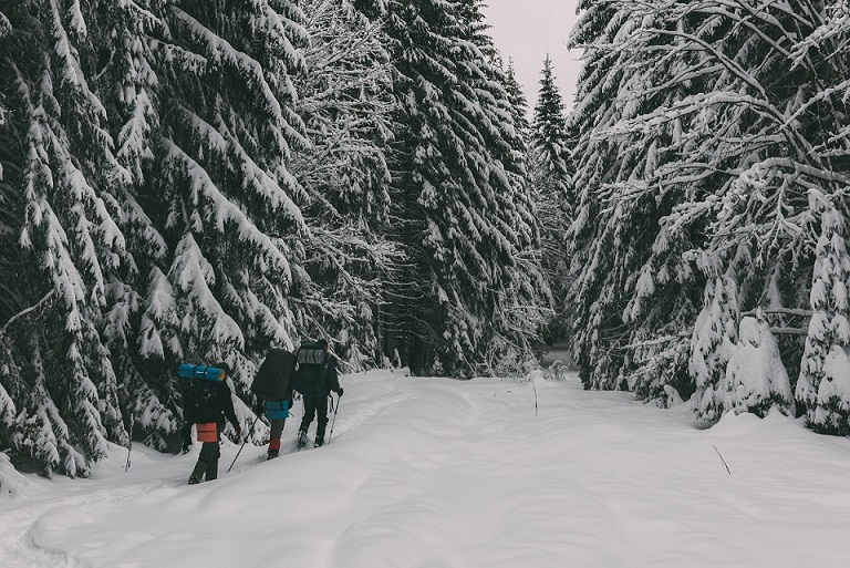 Three tourists with a backpacks in the snowy forest snowy forest in winter time.