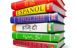 Foreign world languages study